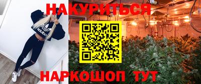 шишки Кинель
