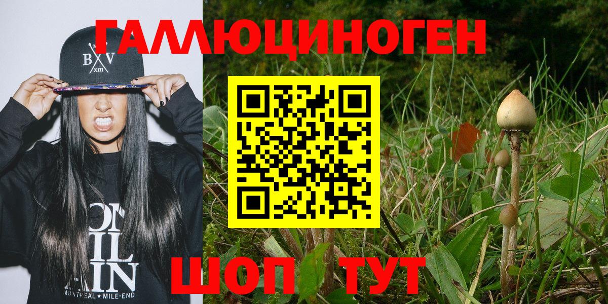 Ирбит  Галлюциногенные грибы прущие грибы  Вход с VPN  где купить   Галлюциногенные грибы Magic Shrooms 